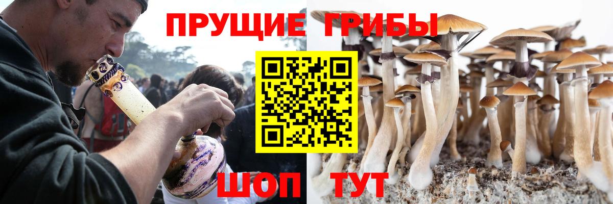 Галлюциногенные грибы мухоморы Сокол
